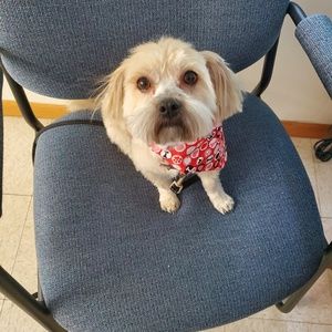 Meet your Posher, Eli